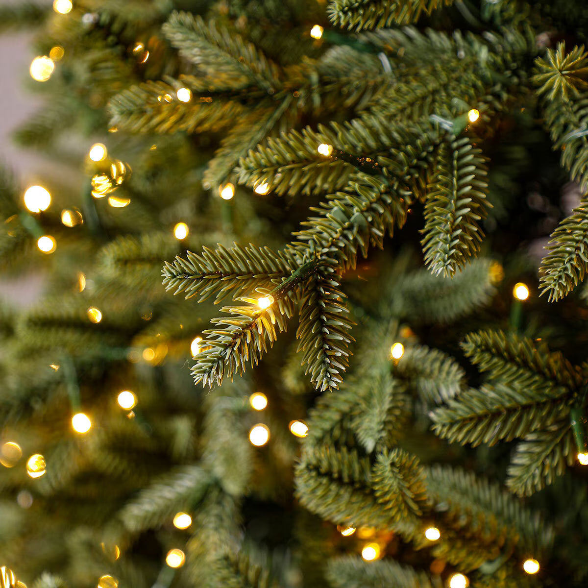 BALMANN TREE